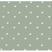 Sage Green Stars Oilcloths PVC Tablecloths